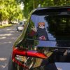 Akatsuki Car Sticker Pain